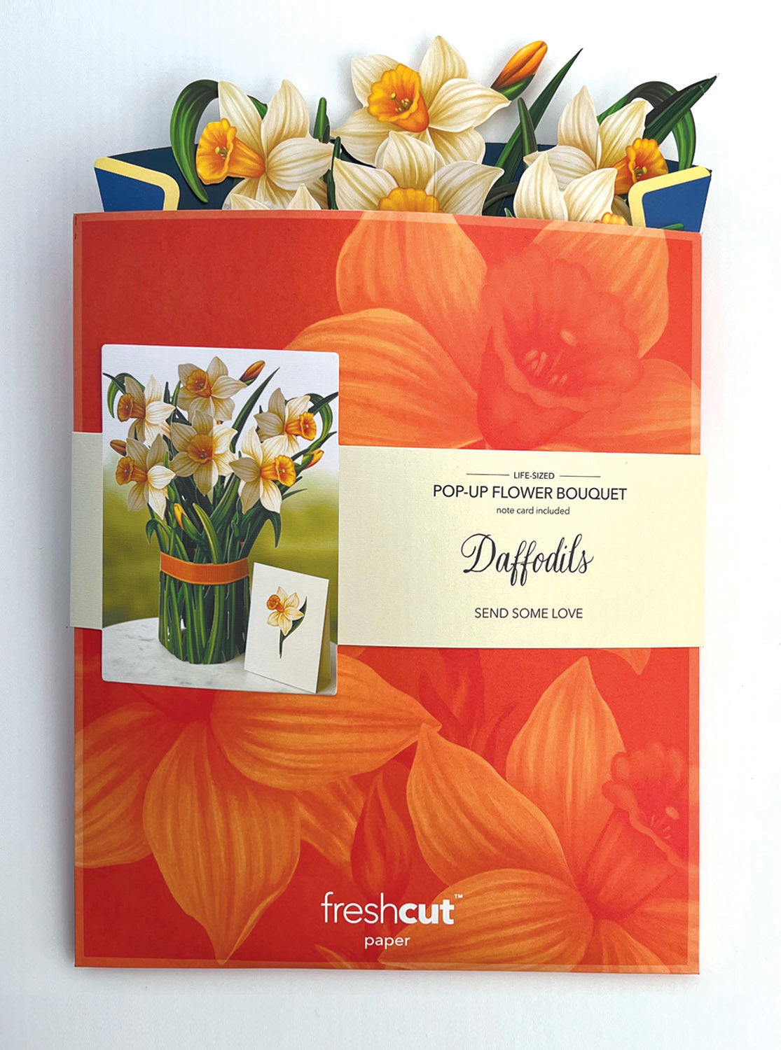 Daffodils Pop-up Paper Bouquet - Chrysler Museum Shop