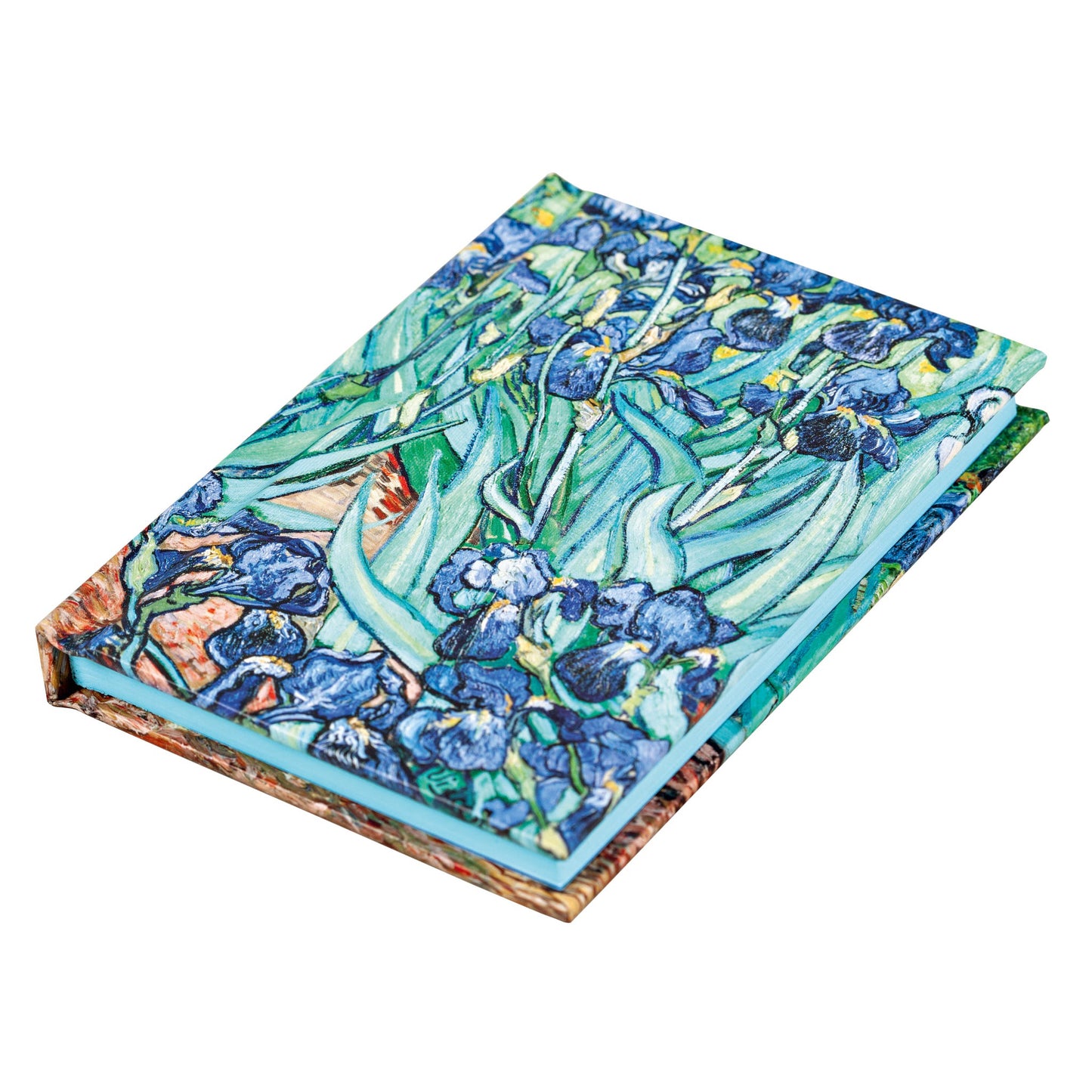 Vincent van Gogh Irises Mini Notebook