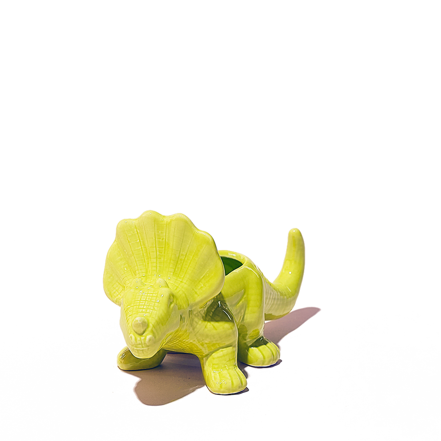 Triceratops Planter