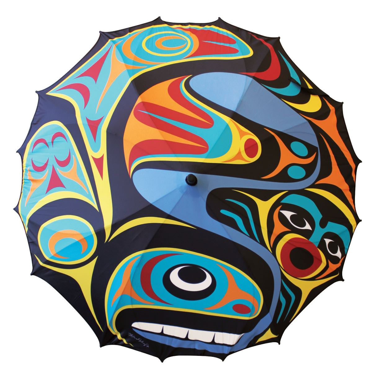 Pazifischer Regenschirm, Wal