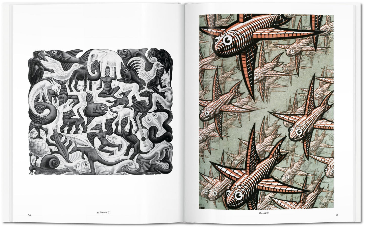 M. C. Escher: The Graphic Work